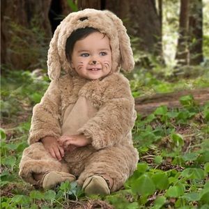 Pottery barn 0-6 mo puppy Halloween costume